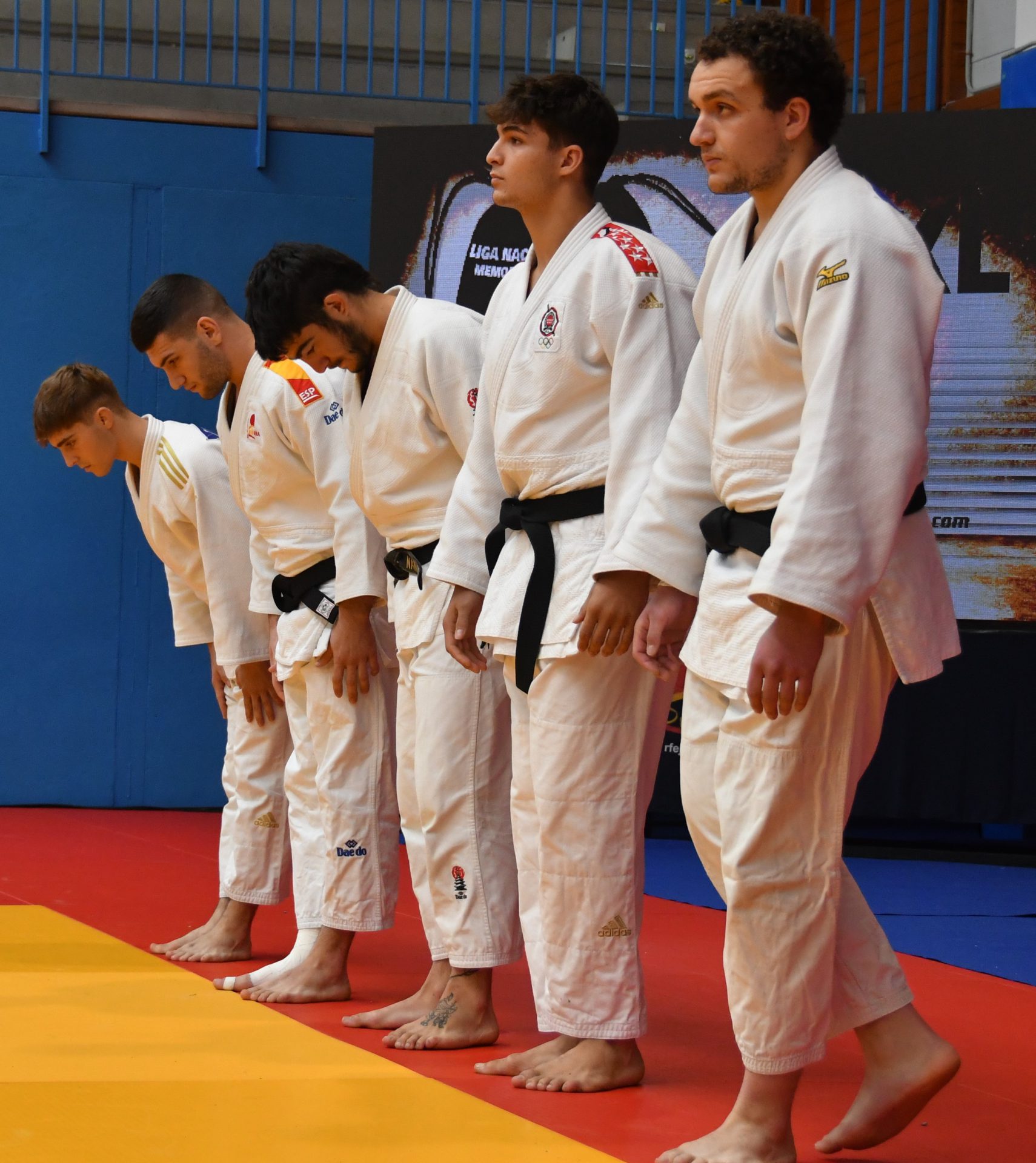 Liga Nacional de Judo 2022